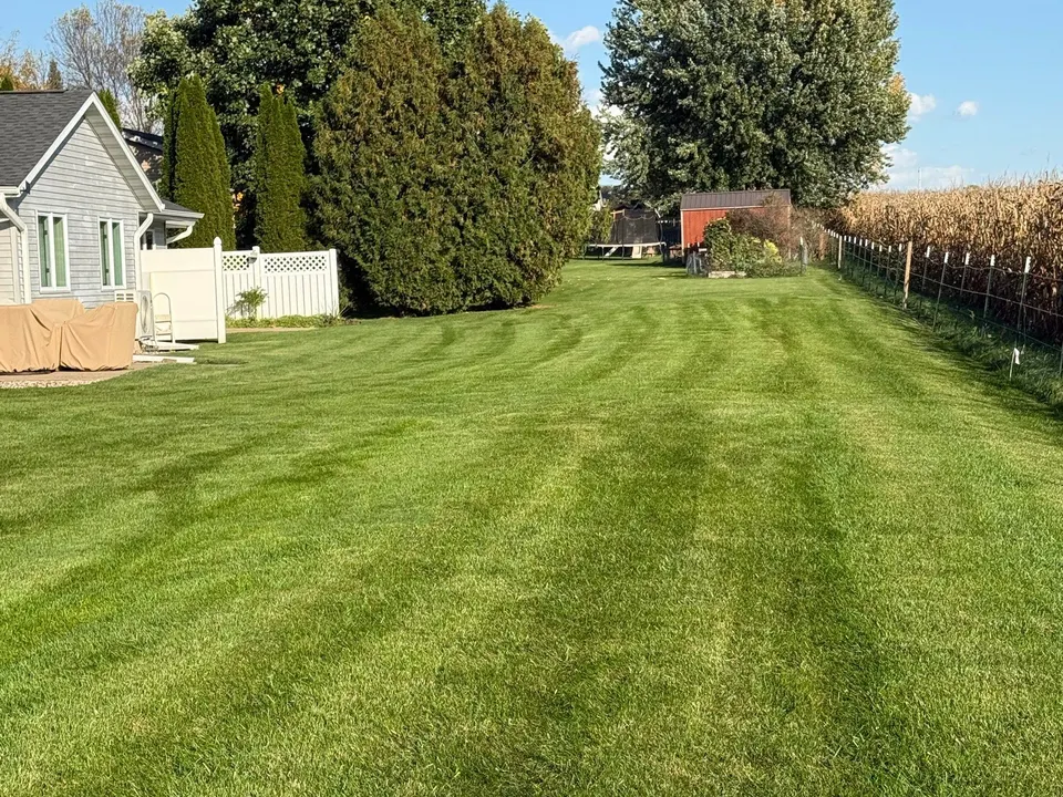 Weekly mow (1 of 2)