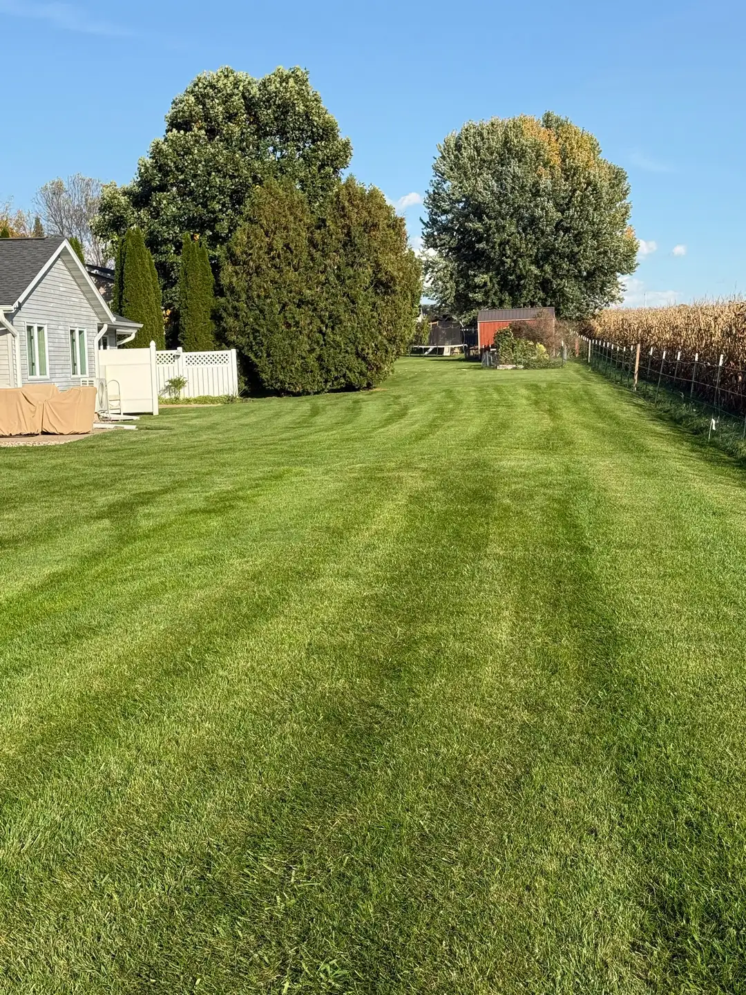 Freshly striped backyard lawn mowed by NJW Outdoors
