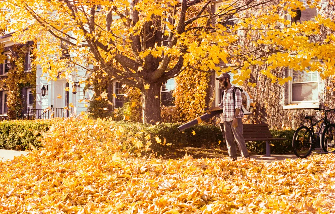Blowing a yard full of fall leaves
